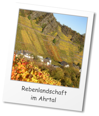 Rebenlandschaft  im Ahrtal