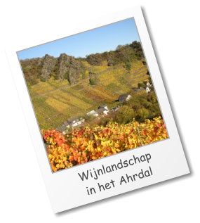 Wijnlandschap  in het Ahrdal