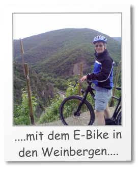 ....mit dem E-Bike in den Weinbergen....