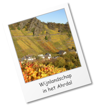 Wijnlandschap  in het Ahrdal